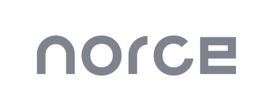 Norce Logo 1 Pos RGB Grery2